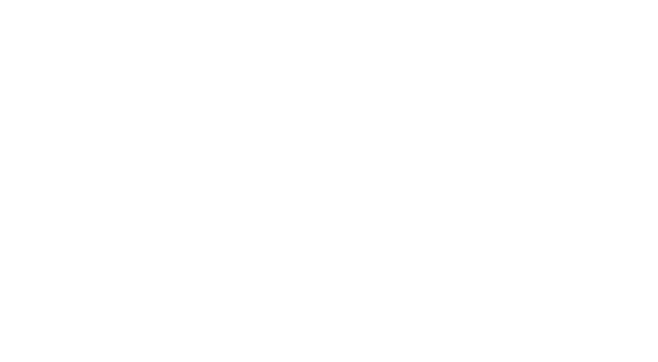 THE TYETS